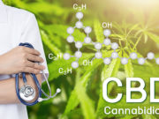 The Vast Benefits Of CBD To The Human Body