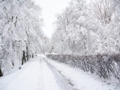 The “Bomb Cyclone” that Hit Denver in 2019 Bomb cyclone